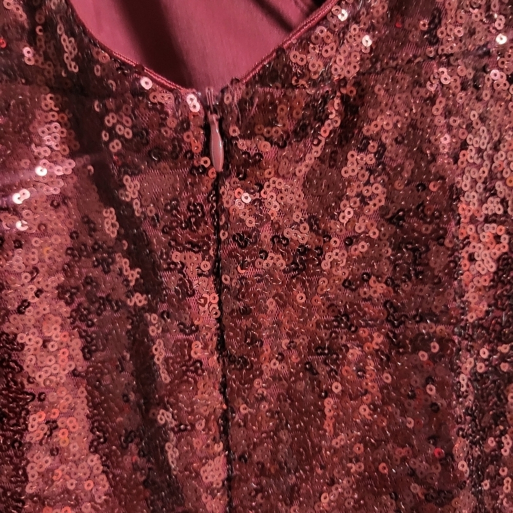 Alter'd State Womens Elegant Sequin Burgundy Dress Size S - Picture 4 of 9
